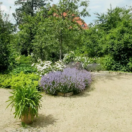 Historic In Nature Reserve * Drezno