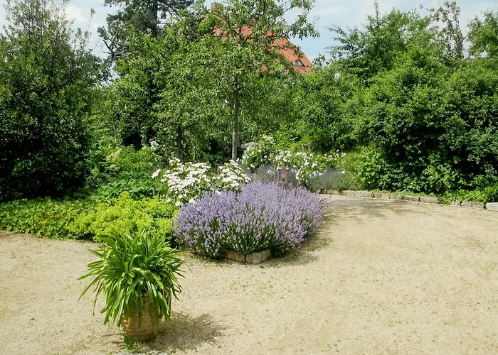Historic In Nature Reserve * Drezno