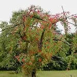 בית נופש Historic In Nature Reserve דרזדן