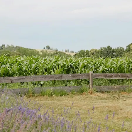 Historic In Nature Reserve *