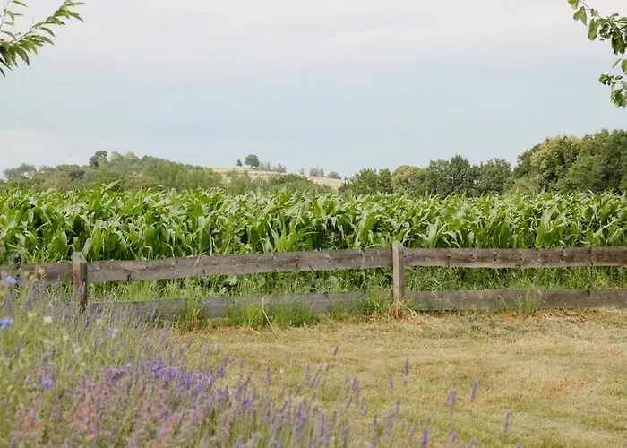 Historic In Nature Reserve *