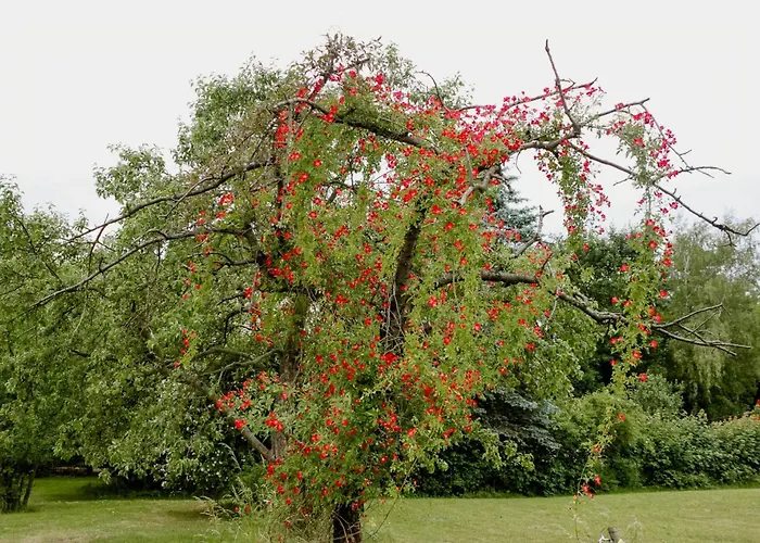 بيت للعطل Historic In Nature Reserve دريسدن