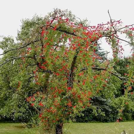 Σπίτι διακοπών Historic In Nature Reserve Δρέσδη